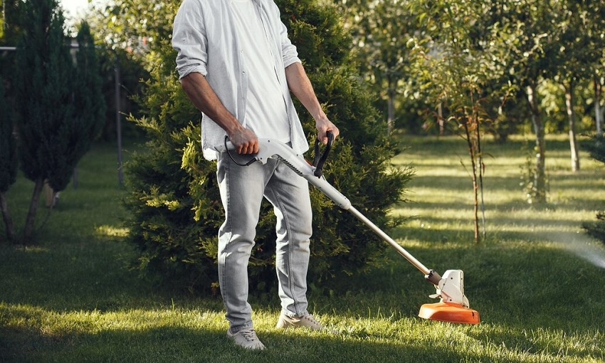 Lawn Mowing by Mozayn Image